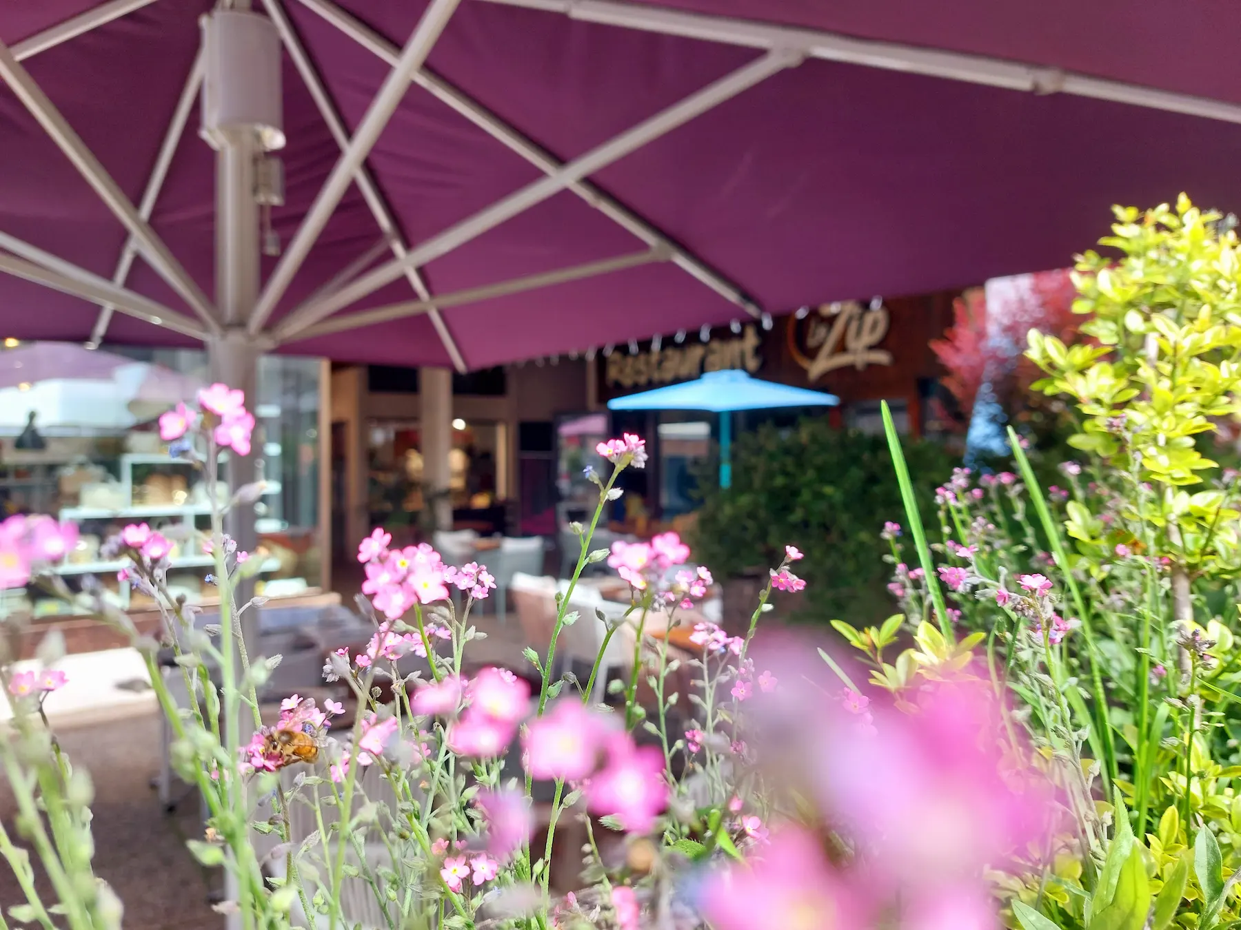 Agence M Com Marseille Le Zip Restaurant Combloux terrasse plantes
