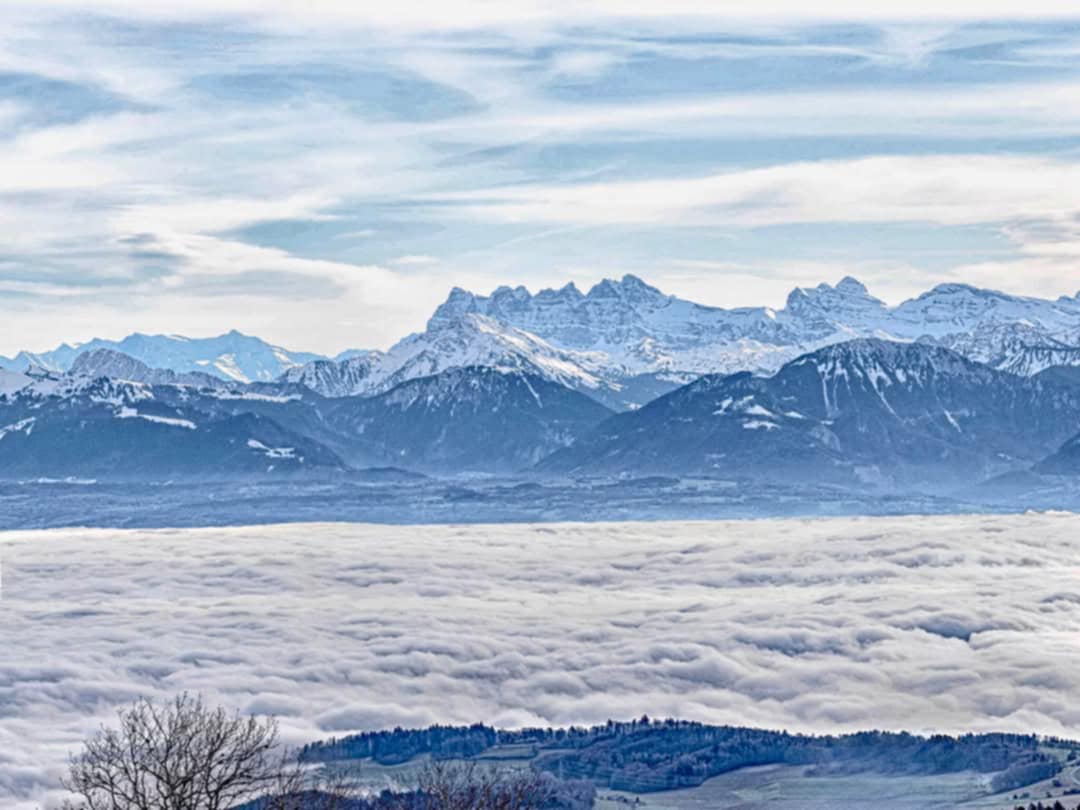 Agence M Com Marseille Le Zip Restaurant Combloux vue mont blanc